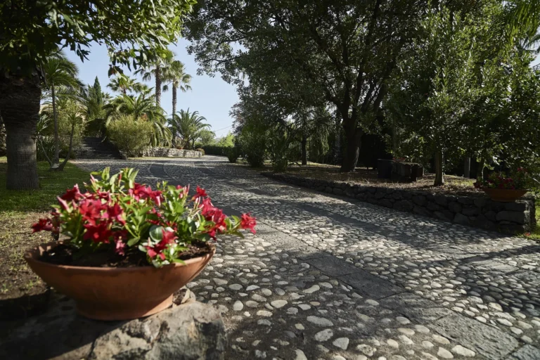 Il viale d'ingresso