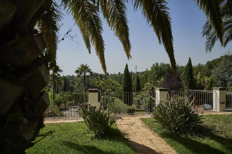 Il giardino con le palme