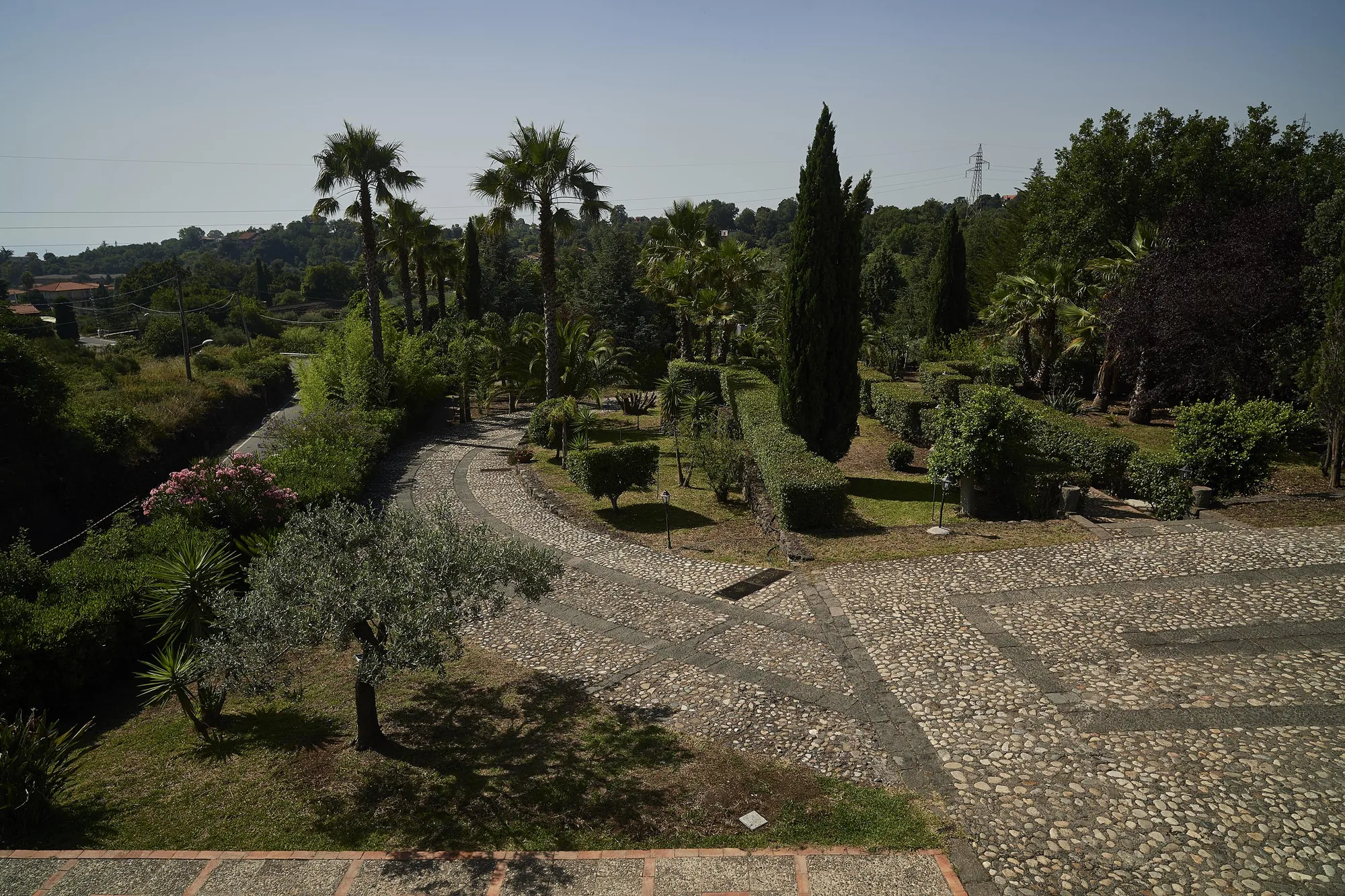 Der Park der Villa mit Palmen und Olivenbäumen